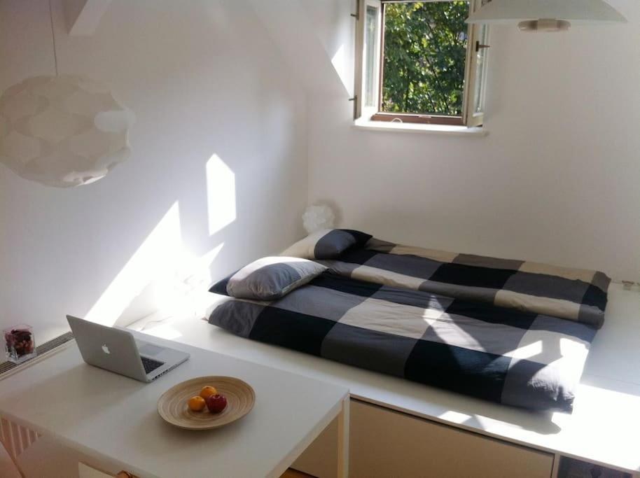 The Cute, Sunny Apartment In The Center +P Ljubljana Exteriör bild