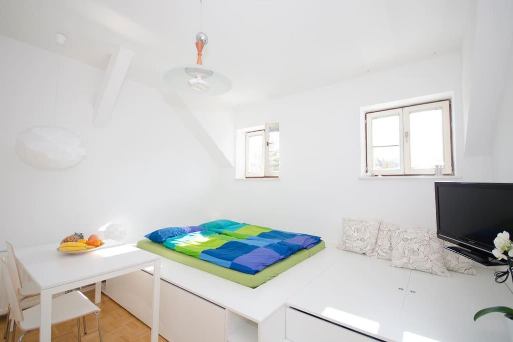 The Cute, Sunny Apartment In The Center +P Ljubljana Exteriör bild
