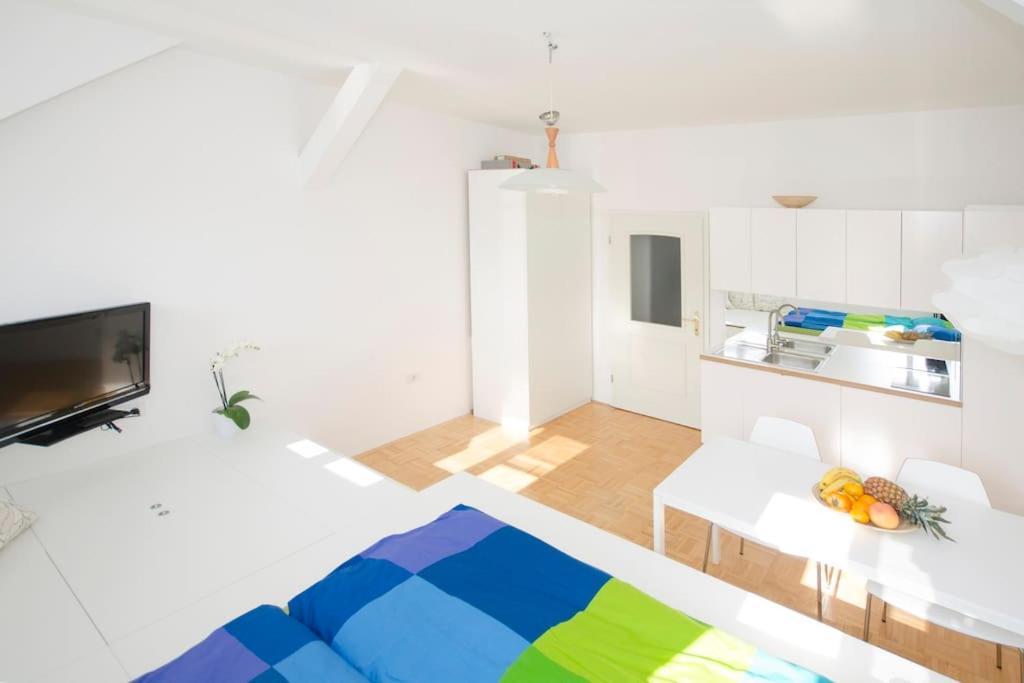The Cute, Sunny Apartment In The Center +P Ljubljana Exteriör bild