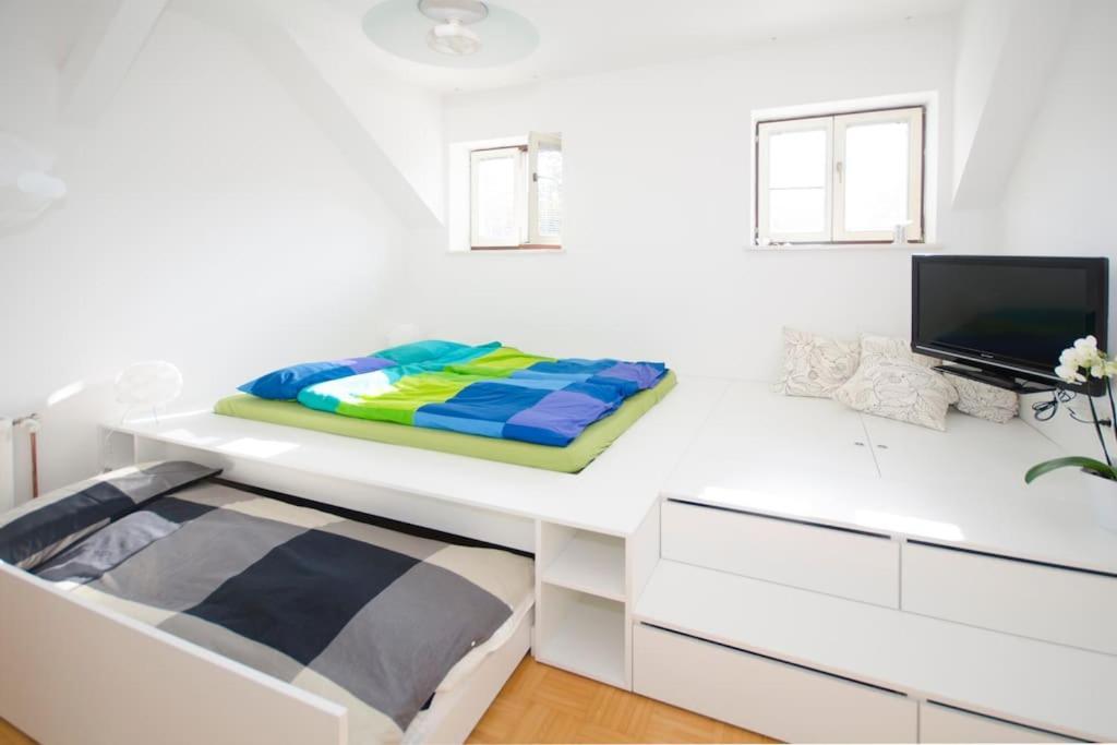The Cute, Sunny Apartment In The Center +P Ljubljana Exteriör bild